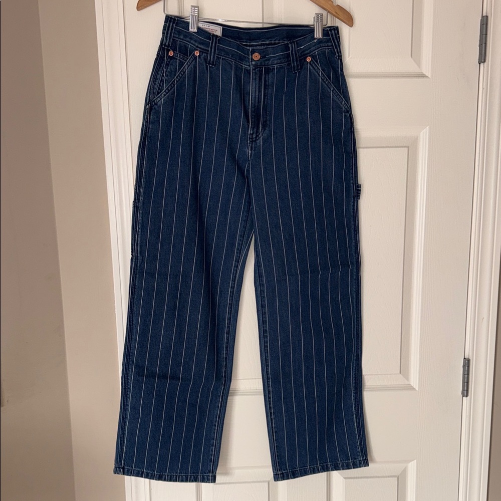 GAP  Blue Pinstriped carpenter Jeans